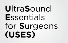 Ultrasound Essentials For Surgeons Course Uses American - 